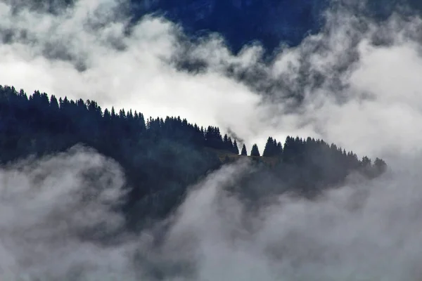 Δασικός Λόφος Που Καλύπτεται Από Σύννεφα — Φωτογραφία Αρχείου
