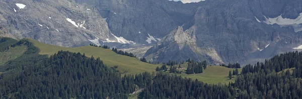 Alpine Landscape Forest Ridge — Stock Photo, Image