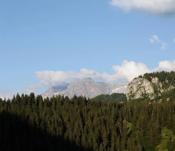 Paysage Alpin Été — Photo