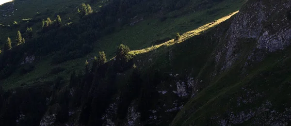 Pastos Alpinos Verano — Foto de Stock