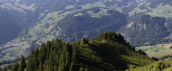 Uitzicht Een Alpine Vallei Zomer — Stockfoto