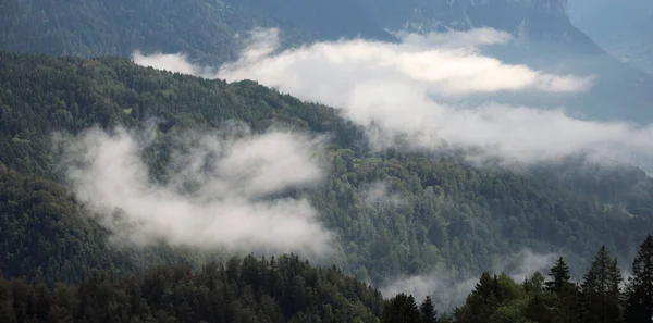 Vista Panorámica Una Colina Forestal Nubes — Foto de Stock