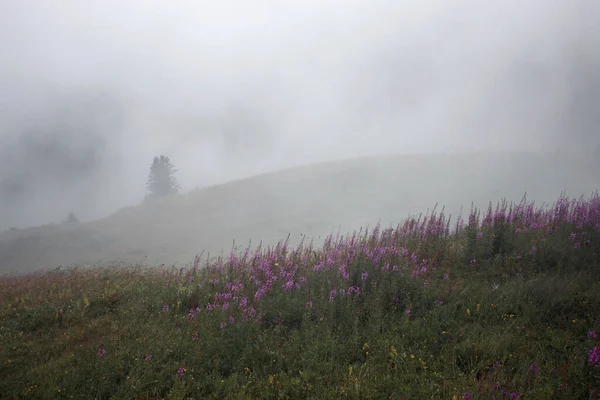 Bergssluttning Dimmigt Väder — Stockfoto