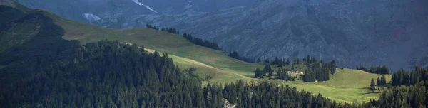 Alpine Landschap Met Bosrand Zomer — Stockfoto