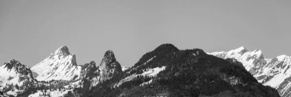 Kışın Dağ Zirvelerinin Panoramik Manzarası — Stok fotoğraf