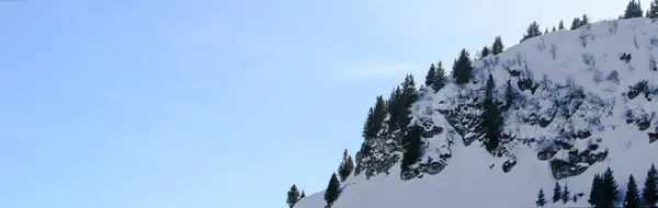 Detalhe Uma Encosta Montanha Inverno — Fotografia de Stock