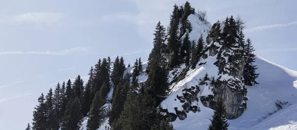 Formazione Rocciosa Alpina Con Alberi — Foto Stock