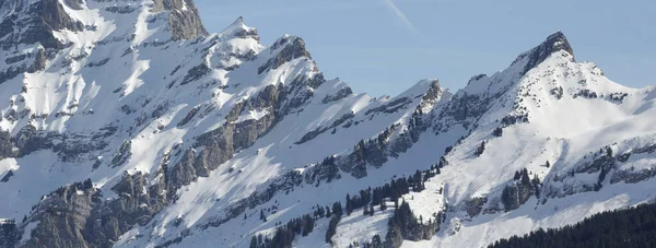 Dettaglio Pendio Montagna Inverno — Foto Stock