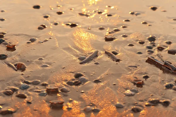 Захід сонця на морському пляжі — стокове фото