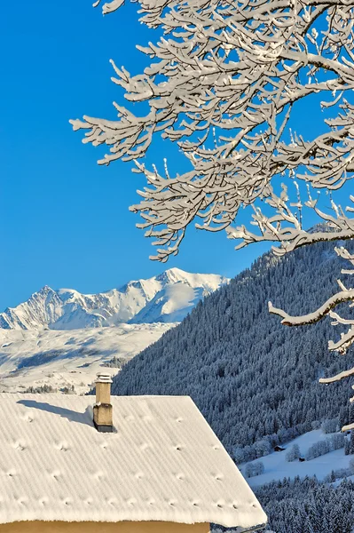 Paisagem de inverno com neve — Fotografia de Stock