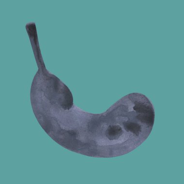 Turkuaz arka planda izole edilmiş balkabağının suluboya çizimi. Cadılar Bayramı kartı illüstrasyonu. Davetiye için tasarım, poster, kartpostal, ambalaj kağıdı, kapak, kumaş. Eğlenceli sebzeler..