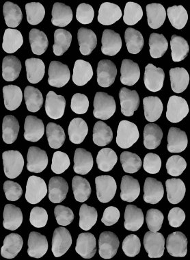 Lekeli, pullu, tüylü vahşi hayvan izleri. Basit siyah-beyaz suluboya bohem arkaplan, pürüzsüz desen. İskandinav tarzı, duvar kağıdı, kumaş, tekstil, baskılar, ambalaj kağıdı için harika..