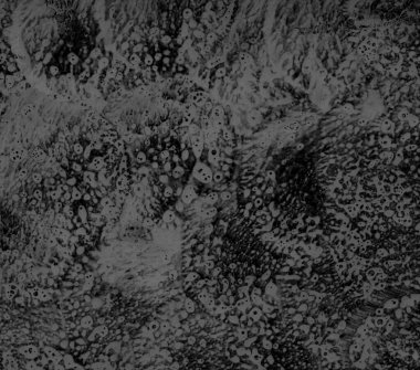 Basit soyut siyah beyaz suluboya, grafit arkaplan. Elle boyanmış doku, sıçramalar, boya damlaları, boya lekeleri. Arka planlar, duvar kağıtları, kapaklar ve ambalaj kağıtları için en iyisi..