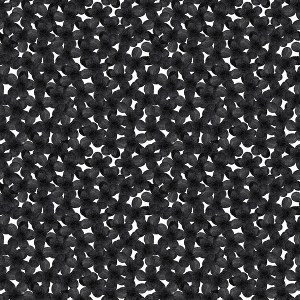 Акварельні Квіти Фіалки Барвистий Монохромний Чорно Білий Безшовний Візерунок Квітами — стокове фото