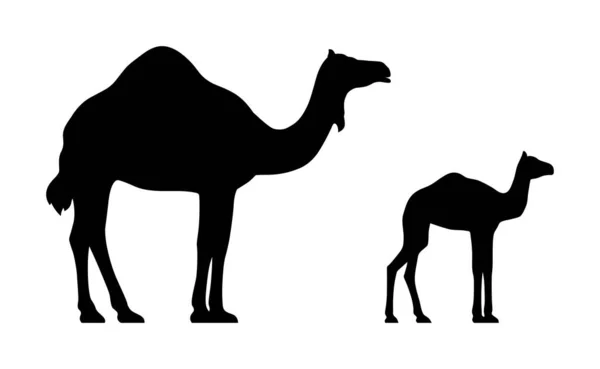 Siluetas Negras Camello Ternera Aisladas Sobre Fondo Blanco Ilustración Vectorial — Archivo Imágenes Vectoriales