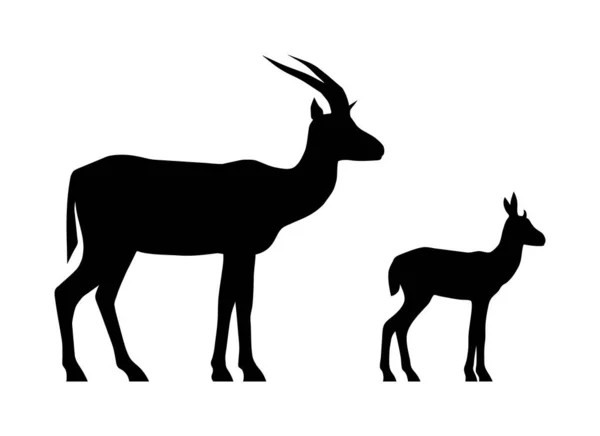 在白色背景上孤立的羚羊和小牛的黑色轮廓 矢量说明 — 图库矢量图片