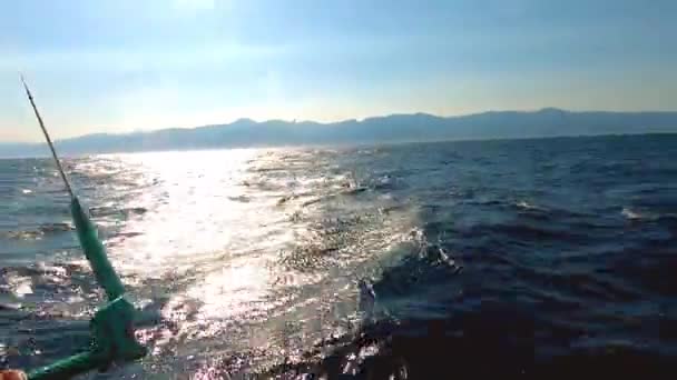 Mann, der in Extremsport namens Kitesurfen, Reiten auf dem Wasser in schönen Sonnenuntergang mit Lichtreflexen auf der Wasseroberfläche. Profi-Sportler hält Drachengriff, macht schwieriges Reiten — Stockvideo