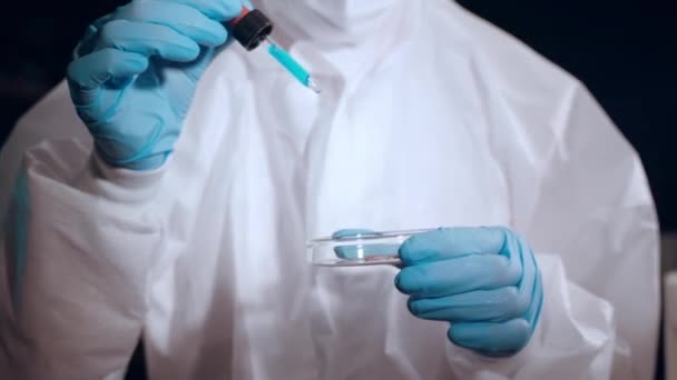 Experimentella undersökningar i laboratorium, oigenkännlig mikrobiolog i skyddande coverall innehav petriskål med svamp prov i händerna och lägga droppar av blått reagens från steril pipett, hälsa — Stockvideo