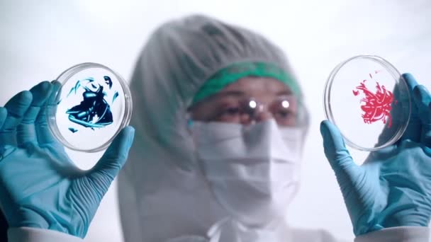 Round sterile petri dishes with bacteria and blood samples in scientists hands, chemist in protective coverall looking at the glass plates and analyzing chemical reactions of microorganismas with — Stock Video