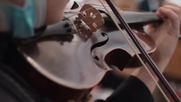 Кинематографический снимок монашеских рук, играющих на скрипке на благотворительном концерте в церкви, концентрированной религиозной сестры, держащей акустическую композицию в симфонии с церковным хором. Религиозные выступления и — стоковое видео