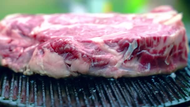 Close-up shot in slow motion of roasting beef steak on grill grid with flames and charcoal ashes, red raw meat steak preparation outdoors for party picnic celebration. Luxury bloody beef steak — Stock Video