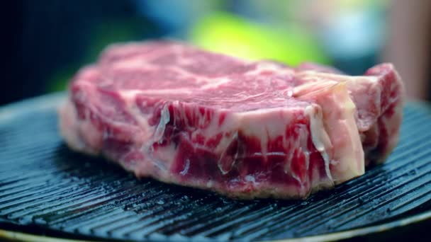 Syrový hovězí steak s tučným pečením na grilu BQ ve zpomaleném filmu na rozmazaném pozadí, červený masový steak smažený na uhel a uzení. Šťavnaté hovězí steak příprava pro bbq party, chutné — Stock video