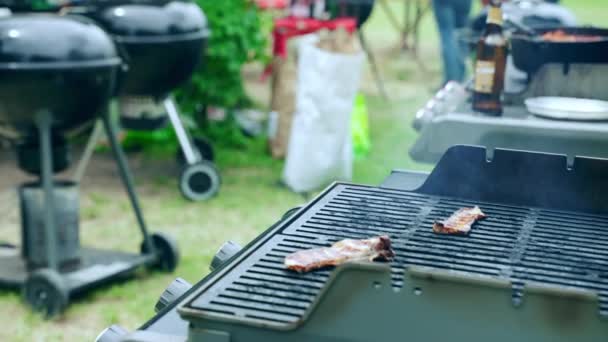 Barbecue webers ready for weekend picnic party, fillets of meat roasting on bbq grid in charcoals flame. Delicious barbecue smoke rising in air, food grilling party — Stock Video