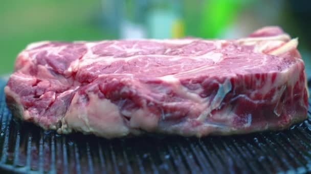 Slavný florentský steak pečený venku na grilu bbq, luxusní typ masového grilování a syčení, drahá a lahodná příprava syrového steaku, Fiorentina steak koncept — Stock video