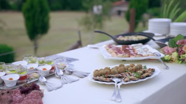 Ozdobiony stół w formie bufetu ślubnego ze świeżymi bukietami kwiatów i różnorodnością smacznych włoskich plastrów prosciutto, kotlety serowe, owoce, przekąski, kanapki, ryby i przekąski mięsne. Usługi cateringu ślubnego — Wideo stockowe