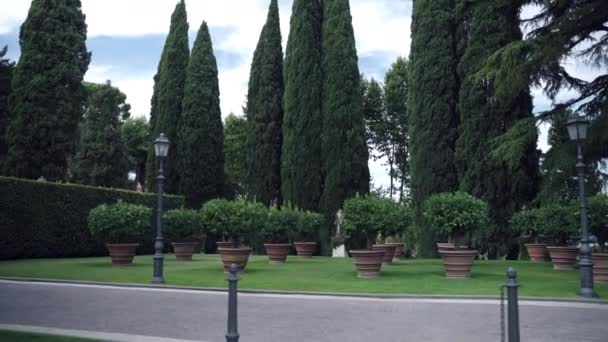 空の背景に雄大な常緑のヒノキの木と豊かな歴史を持つ古代イタリアのヴィラで成長レモンの木と巨大なレンガ造りの花瓶。古い時代の高貴なイタリアのランドマーク、豪華な村 — ストック動画