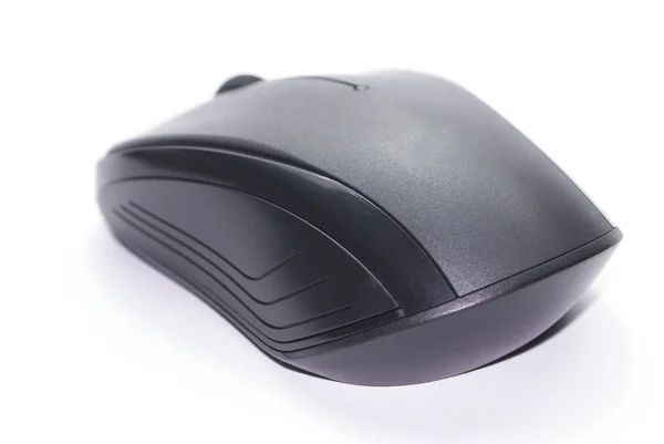 Mouse — Stock Photo, Image