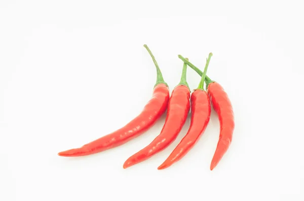 kırmızı sıcak chilie biber