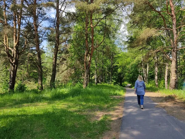 Женщина на прогулке в лесном парке прогулки по тропе — стоковое фото