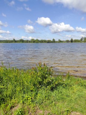 Gölün su yüzeyinde yemyeşil çimenler ön planda ve kümülüs bulutlu mavi bir gökyüzü. Hafta sonunun fotoğrafı, güneşli bir havada..