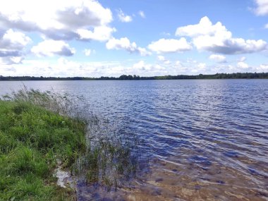 Gölün su yüzeyinde yemyeşil çimenler ön planda ve kümülüs bulutlu mavi bir gökyüzü. Hafta sonunun fotoğrafı, güneşli bir havada..