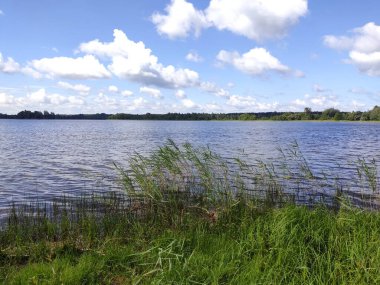 Gölün su yüzeyinde yemyeşil çimenler ön planda ve kümülüs bulutlu mavi bir gökyüzü. Hafta sonunun fotoğrafı, güneşli bir havada..