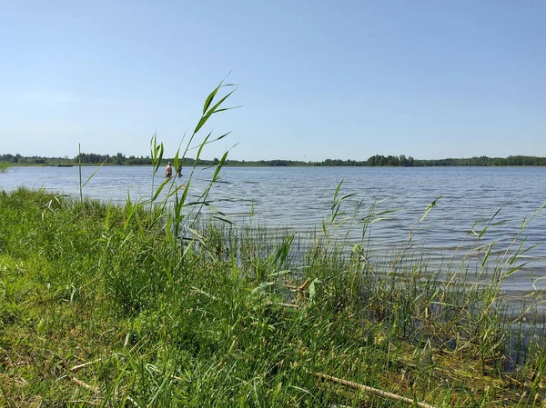 Die Wasseroberfläche Des Sees Mit Üppigem Grünem Gras Vordergrund Und — Stockfoto