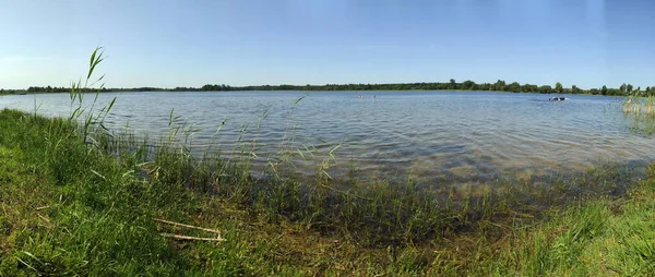 湖面上绿油油的湖水 前景一片绿草 蓝天布满了积云 夏天的周末 天气晴朗时的照片 — 图库照片