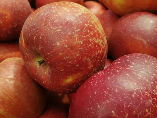 Large Red Apples Close Photo Ripe Juicy Fruits Harvesting Orchard — Stock Photo, Image