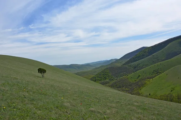 Primavera en las montañas del Cáucaso — Foto de Stock