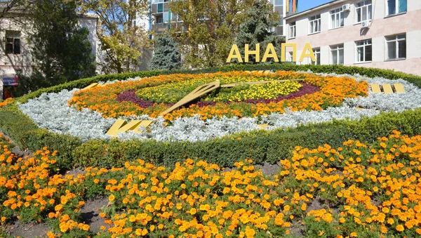 Flower clock — Stock Photo, Image