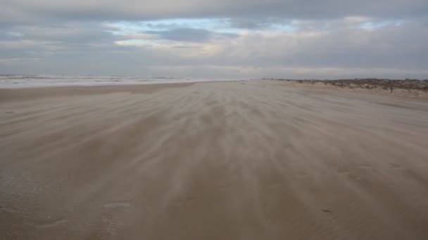 Areia voadora na praia — Vídeo de Stock