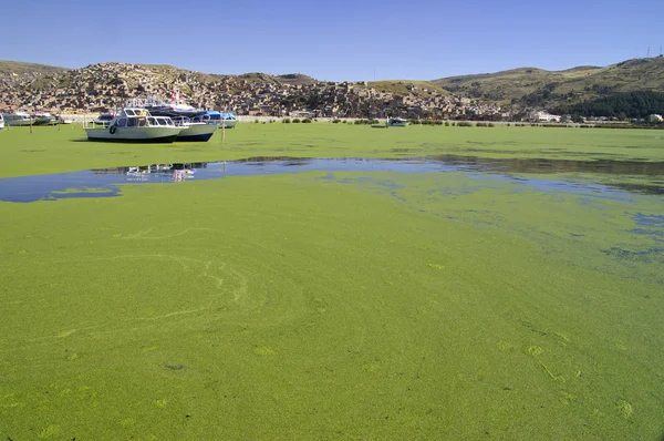 Lago Titicaca — Foto Stock