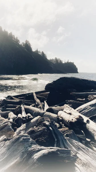 Okyanus Çarpan Dalgalar ve Sürüklenen Dalgalar