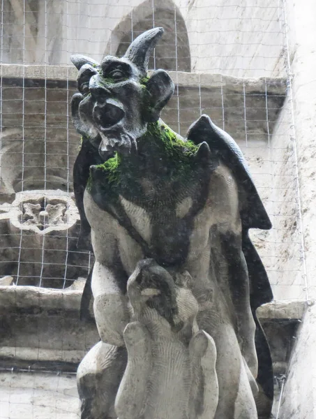 Gargoyle Siyah ve Beyaz