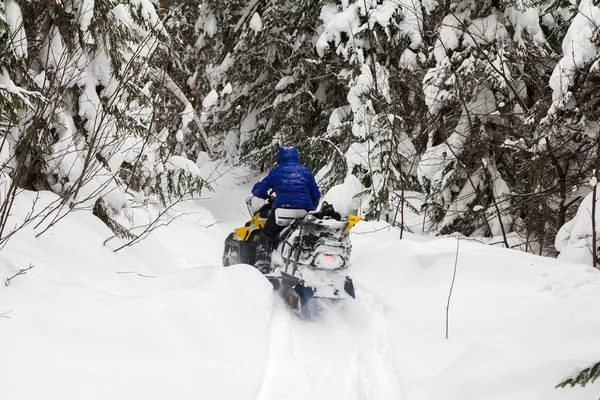 Mujer en una moto de nieve —  Fotos de Stock