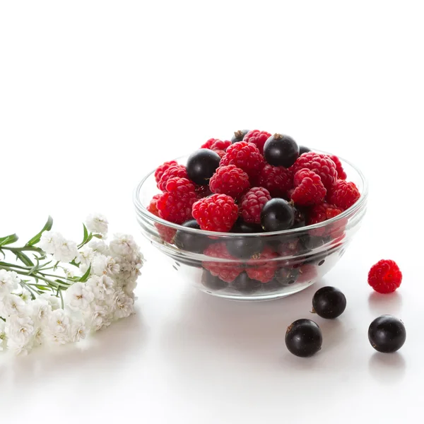 Raspberries and currants — Stock Photo, Image