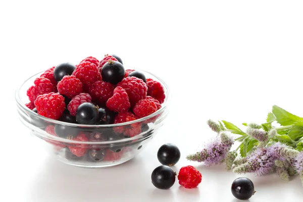 Raspberries and currants — Stock Photo, Image