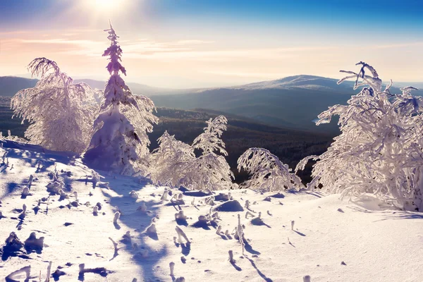Invierno en las montañas — Foto de Stock