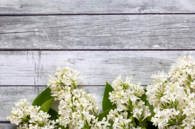 Tahta arka planda beyaz çiçekler.